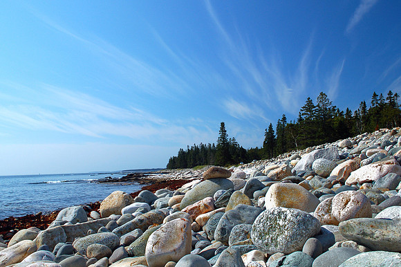 The Sea Wall