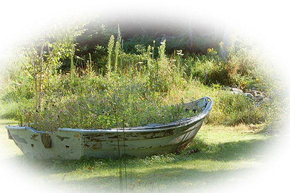 Bonnie's Boat