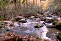 Great Smoky Mountain National Park