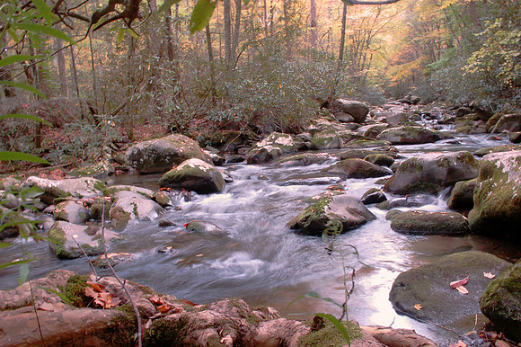 Great Smoky Mountain National Park