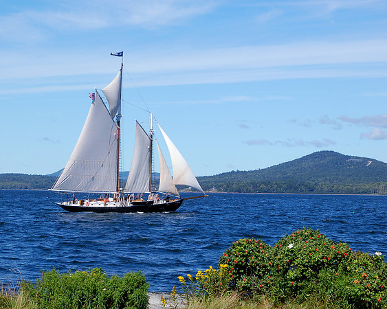 Sailing in Penobscot Bay